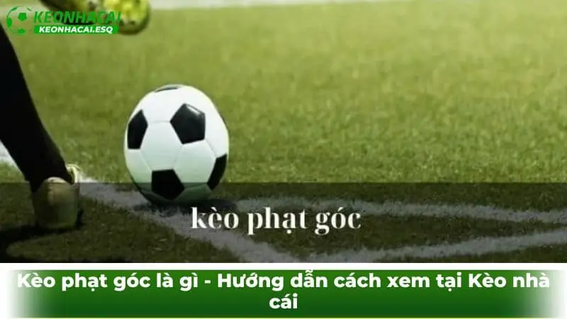Kèo phạt góc là gì - Hướng dẫn cách xem tại Kèo nhà cái