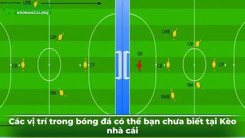 Các vị trí trong bóng đá có thể bạn chưa biết tại Kèo nhà cái