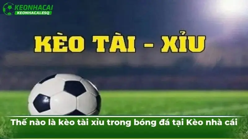 Thế nào là kèo tài xỉu trong bóng đá tại Kèo nhà cái