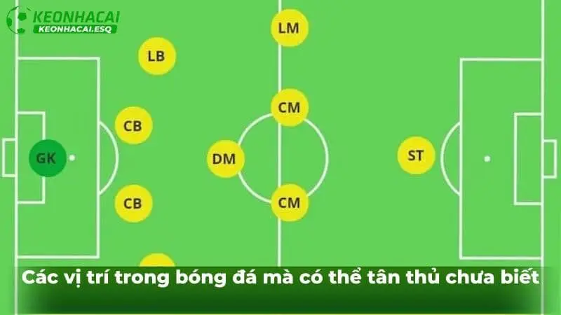 Các vị trí trong bóng đá mà có thể tân thủ chưa biết