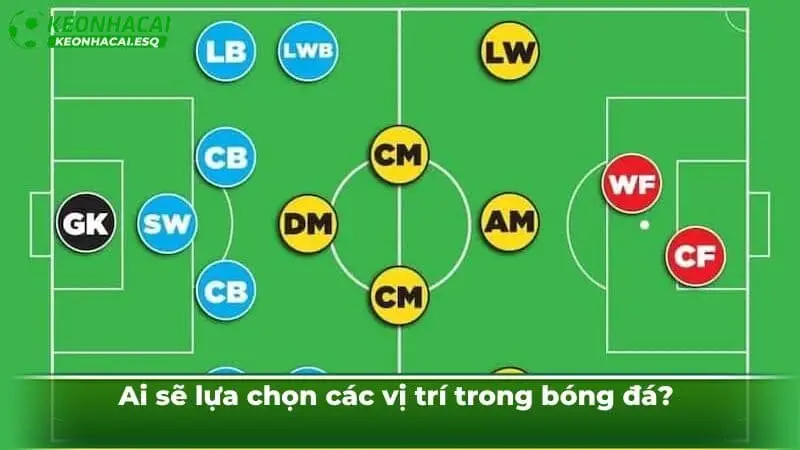 Ai sẽ lựa chọn các vị trí trong bóng đá?