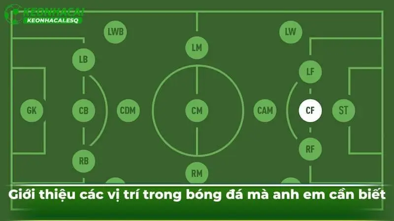 Giới thiệu các vị trí trong bóng đá mà anh em cần biết