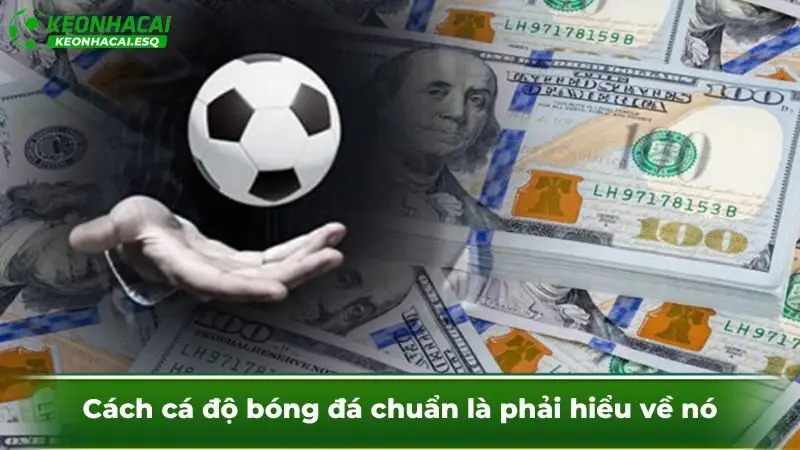 Cách cá độ bóng đá chuẩn là phải hiểu về nó
