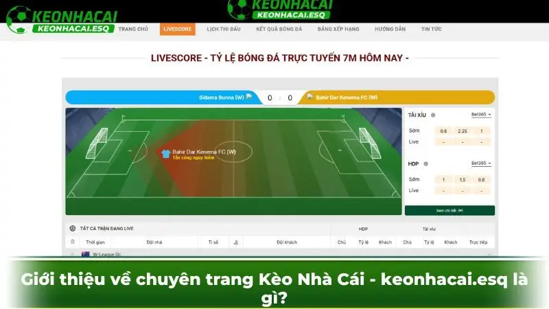 Giới thiệu về chuyên trang Kèo Nhà Cái - eurofood.uk.com là gì?