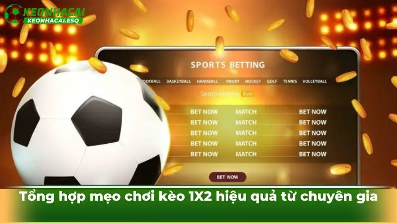 Tổng hợp mẹo chơi kèo 1X2 hiệu quả từ chuyên gia