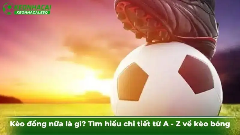 Kèo đồng nữa là gì? Tìm hiểu chi tiết từ A - Z về kèo bóng