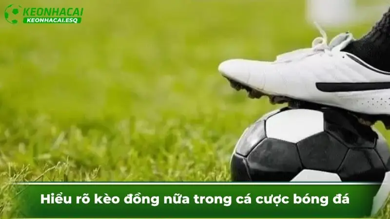 Hiểu rõ kèo đồng nữa trong cá cược bóng đá