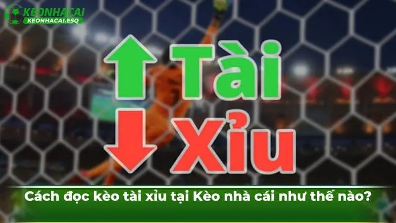 Cách đọc kèo tài xỉu tại Kèo nhà cái như thế nào?